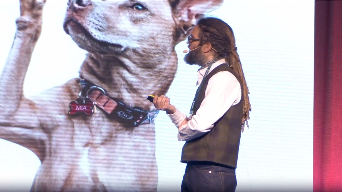 Så lyckas vinnarna inom modern handel möta den föränderliga kunden